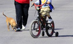 En fase 3 ya es peligroso salir a correr, caminar o pasear a sus mascotas: Protección Civil