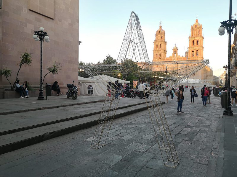 081221 0612, UN ÁRBOL TAN MONUMENTAL COMO LA CONFIANZA POTOSINA EN SU GOBIERNO ESTATAL (9).jpeg