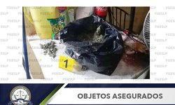 Decomisan marihuana durante cateo en vivienda de Tamazunchale