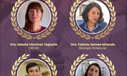 “Día de la Mujer en la Ciencia”: nuestras científicas que hacen investigación y academia en el IPICYT