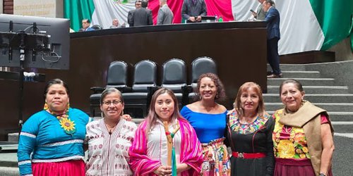 Orgullo potosino: joven  XI’IUY lleva su voz ala Cámara de Diputados