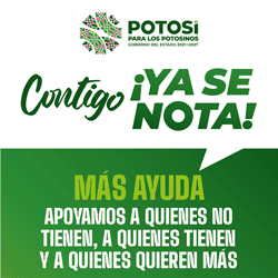visitasanluispotosi.com