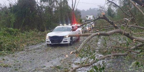Activan Plan GN-A en Veracruz tras paso de 'Grace'