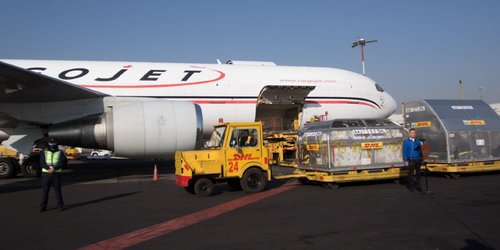 Llegan a México 487 mil 500 vacunas de Pfizer