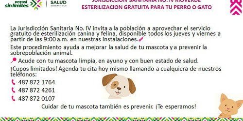 Jurisdicción Sanitaria inicia campaña de esterilización gratuita para perros y gatos