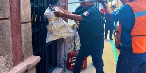 Aseguran víbora de cascabel en pleno Centro Histórico de SLP