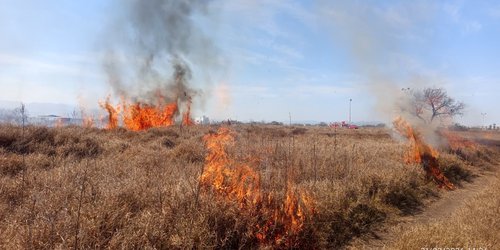 Atienden bomberos nueve incendios de pastizal en Rioverde; confirman que fueron provocados