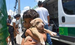 Soledad llama a no regalar mascotas y fomenta la adopción responsable