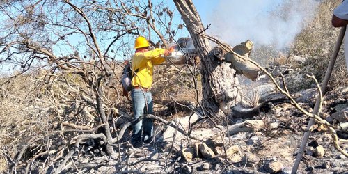 Controlan incendio forestal en San Francisco de Asís; afectó 15 hectáreas