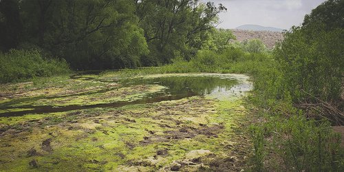 Fuerte sequía se presenta en Ciudad Fernández