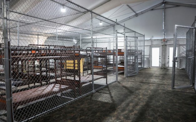 Alligator_Alcatraz_3_MiRioverde.jpg