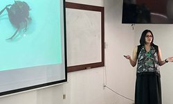 Los científicos alertan sobre el impacto de los antiparasitarios del ganado en los escarabajos coprófagos y los ecosistemas