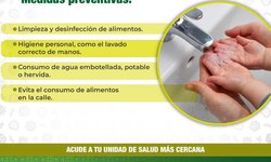 En temporada de calor, necesario prevenir hepatitis A