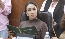 Proponen modificar la ley de Fomento para la Lectura y el Libro del Estado y Municipios