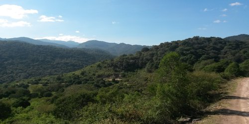 Refuerza CONAFOR acciones de prevención ante riesgo de incendios en la Zona Media