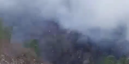Se volvió a prender la sierra de Bagres y Rosa de Castilla