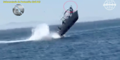 Bote golpea a ballena en Baja California Sur: Seis heridos
