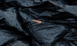 Gripe aviar deja cientos de cigüeñas muertas en España