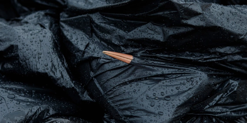 Gripe aviar deja cientos de cigüeñas muertas en España