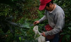 México, pieza clave en plan ambiental de Nestlé