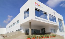 El DIF Estatal resguardó a niñas, niños y adolescentes en situación de migración