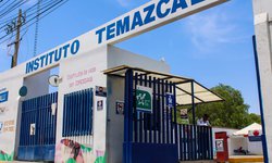 Llama Instituto Temazcalli a identificar señales de alarma para prevenir el suicidio