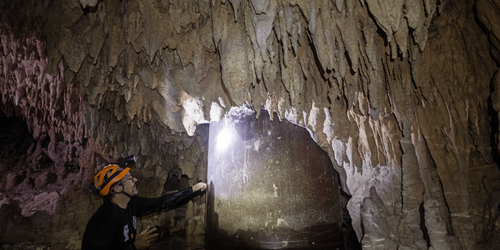 Tribunal de los Derechos de la Naturaleza ratifica sentencia de ecocidio contra el Tren Maya.