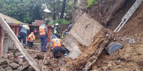 Perritos de albergue quedan atrapados tras derrumbe por lluvias en Xochimilco