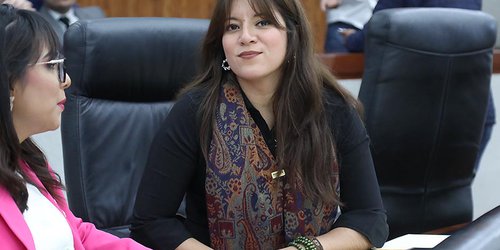 Aprueban reformas para impulsar jardines de lluvia en San Luis Potosí