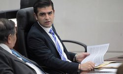 Vigilarán que albergues animales cumplan con disposiciones legales