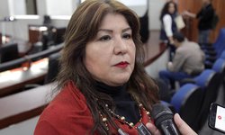 Comisión de Salud dictaminará iniciativa para legalizar la interrupción del embarazo