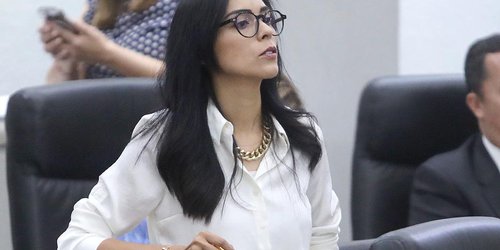 El Congreso seguirá siendo aliado de las y los periodistas: diputada Cecilia Ochoa