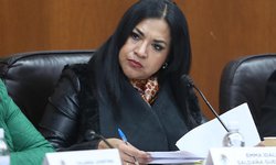 Niños en situación de migración que viajan solos, se enfrentan a graves situaciones de riesgo: Emma Saldaña