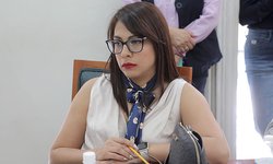 Llaman desde el Congreso del Estado a instituciones facultadas para evitar el trabajo infantil