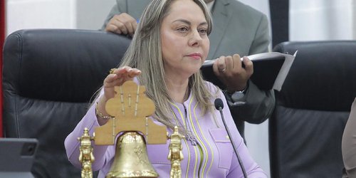 Reitera la Dip. Ma. Sara Rocha Medina compromiso de trabajar con esfuerzo, empeño y voluntad desde la presidencia de la directiva