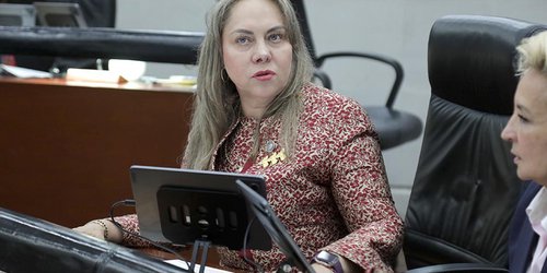 La LXIV legislatura revisará todas las iniciativas con  responsabilidad: dip. Sara Rocha Medina