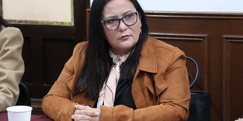 Congreso del Estado analiza iniciativa para prohibir las peleas de perros en la entidad
