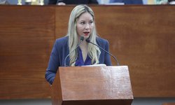 Urge sancionar con severidad el “coyotaje” en trámites administrativos