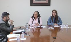 Comisión de Ecología aprueba modificaciones a la Ley de protección a los animales