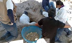 Calculan al menos 200 víctimas en crematorios clandestinos de Teuchitlán, Jalisco