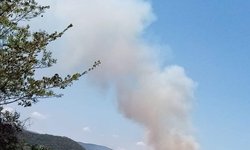 Piden ayuda para combatir incendio en sierra de Tanlú y Tanlacut