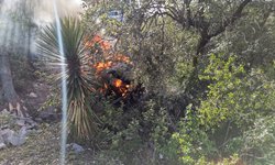 Suspenden carrera panamericana por muerte de piloto en accidente