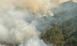 Red Fox buscará contener incendio de Santa María en Río de Bagres