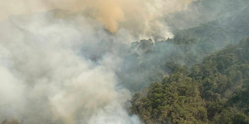 Red Fox buscará contener incendio de Santa María en Río de Bagres