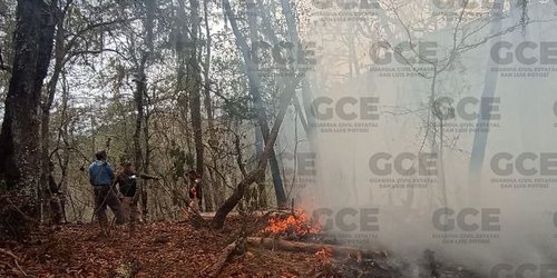 SMDIF Rioverde abre centro de acopio para afectados por incendios en la sierra