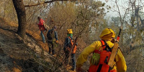 Continúan trabajos de combate a incendio forestal en Santa María del Río