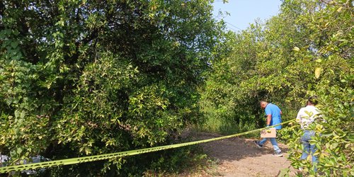 Joven perdió la vida al electrocutarse cortando naranjas