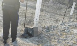 Hallan a persona golpeada al lado de la supercarretera