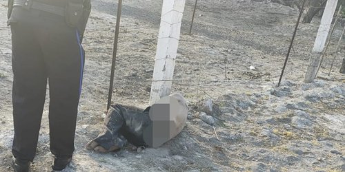 Hallan a persona golpeada al lado de la supercarretera