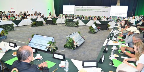 Gobierno Estatal fortalece comités municipales de Protección Civil